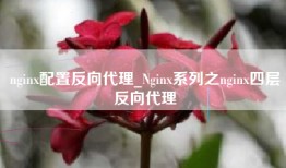 nginx配置反向代理_Nginx系列之nginx四层反向代理