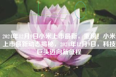2024年12月9日小米上市最新，重磅！小米上市最新动态揭秘，2024年12月9日，科技巨头迈向新征程