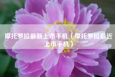 摩托罗拉最新上市手机（摩托罗拉最近上市手机）